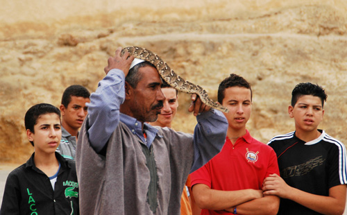 encantador-de-serpentes