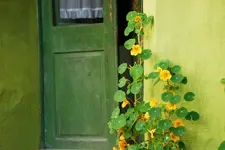 sighisoara1-02