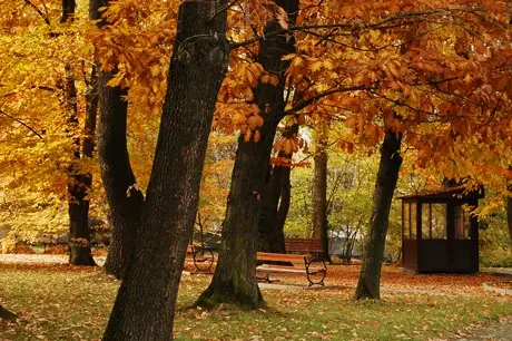 cluj2-03