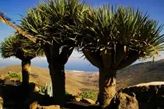 dia2-lanzarote-11