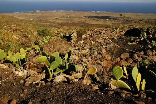 dia2-lanzarote-14