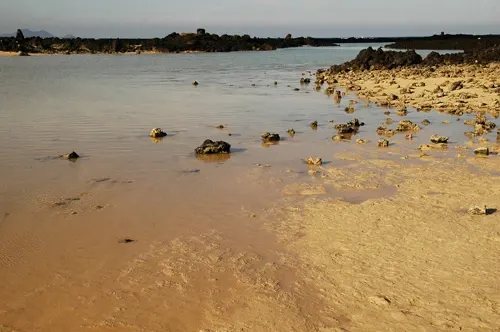 dia2-lanzarote-21