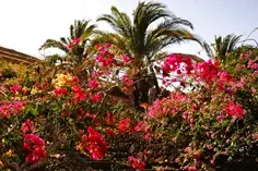 dia3-lanzarote-13
