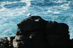 dia3-lanzarote-23