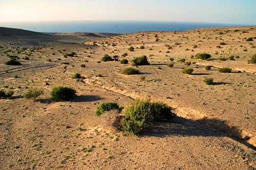 dia07-fuerteventura-08