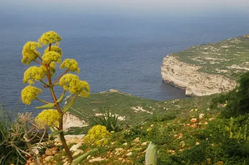 malta01-01