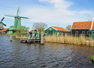 Newcastle – Amesterdão – Dia 4