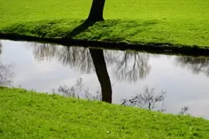 Amesterdao-02-06