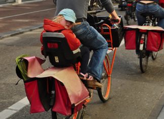 Newcastle – Amesterdão – Dia 5