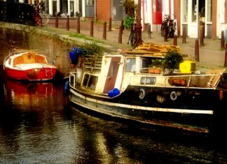 Newcastle – Amesterdão – Dia 6