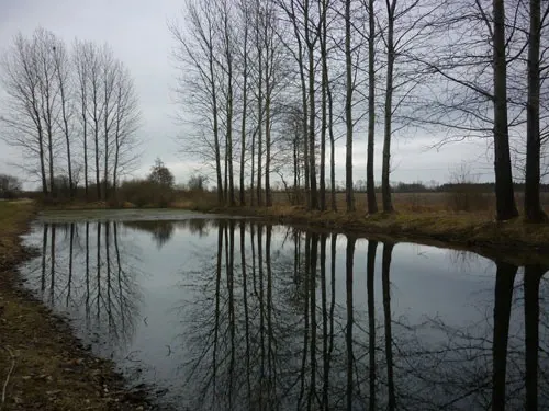 kolding-14