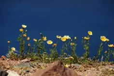 blog-03-07