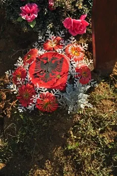dia05-05