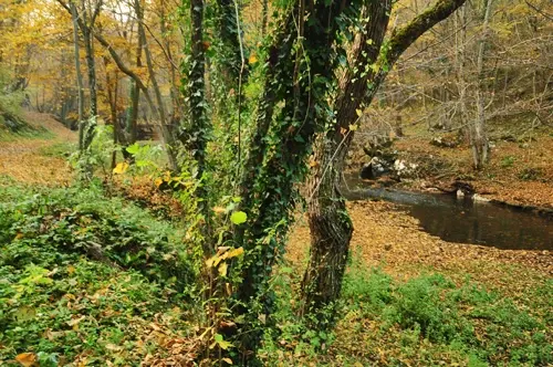 banjaluka2-10