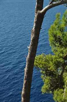 dubrovnik1-05
