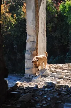 sarajevo2-10