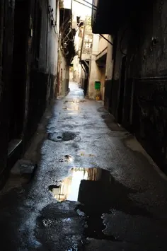 aleppo1-12