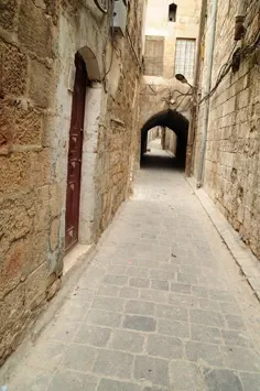 aleppo3-22