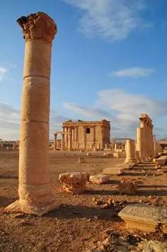 palmyra-03