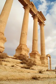 palmyra-05