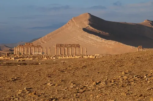 palmyra-06