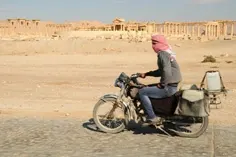 palmyra-07