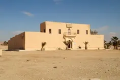 palmyra-10