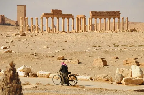 palmyra-11
