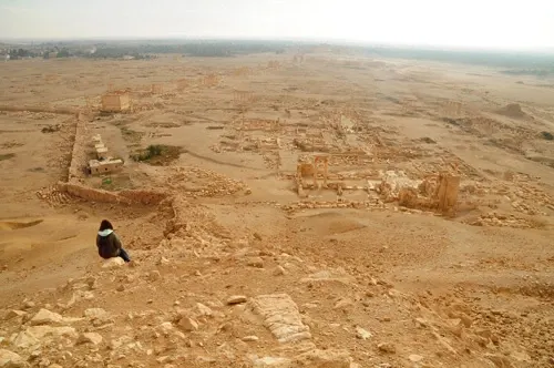 palmyra-16