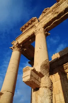 palmyra-18