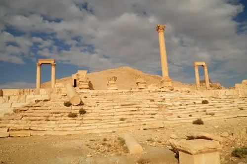 palmyra-19