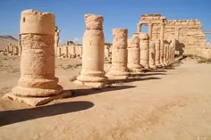 palmyra-23