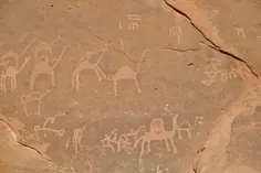 wadirum-15