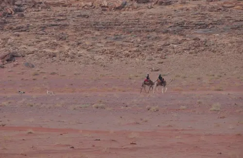 wadirum-03