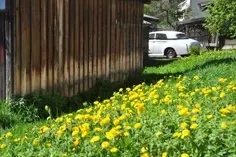 02-vilnius-08
