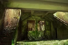 dia13-17