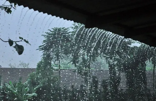 dia6-07