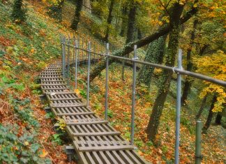 Locais: O Fosso dos Veados, Praga