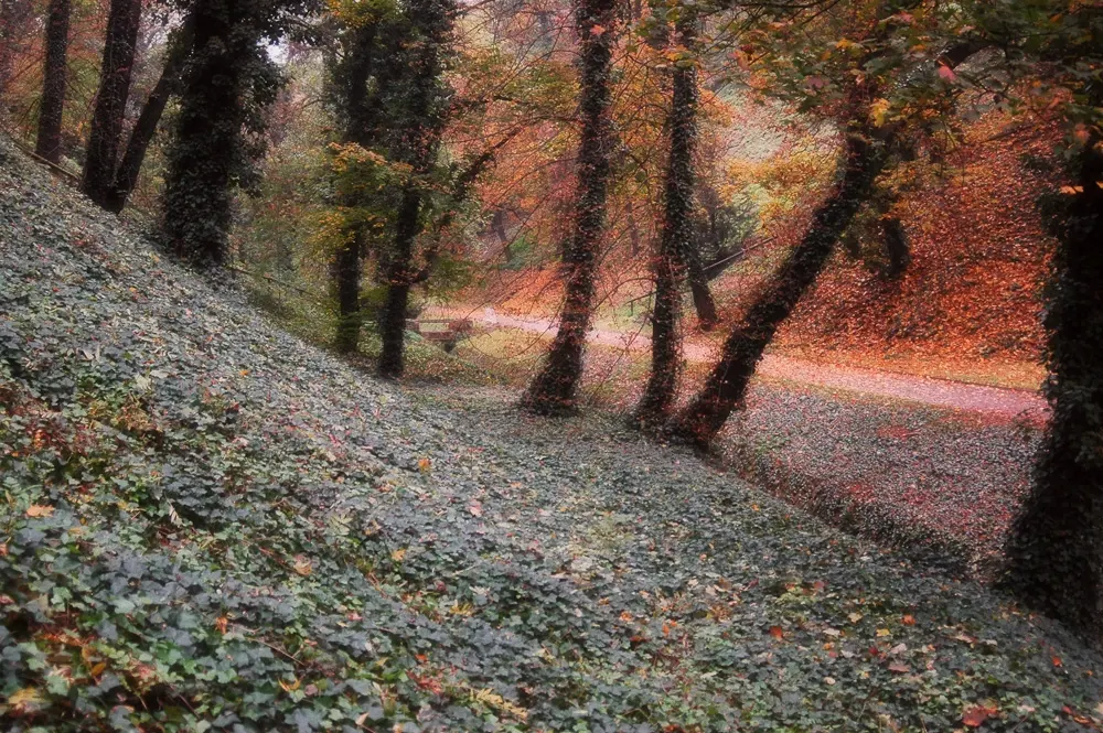 Parece uma pintura mas é mesmo uma fotografia.