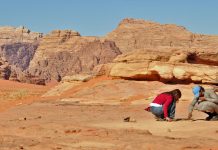 Fotos: O Jogo do Deserto