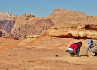 Fotos: O Jogo do Deserto