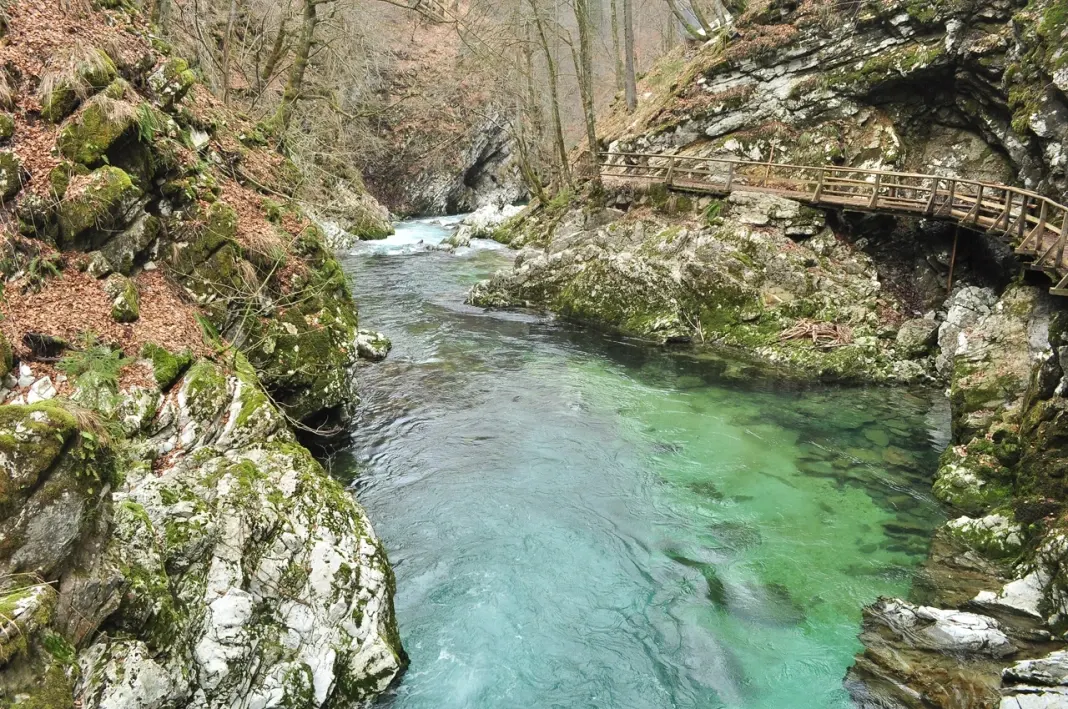 vintgargorge
