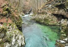 Locais: Vintgar Gorge