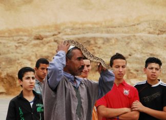 Fotos: O Encantador de Serpentes