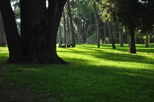 roma-07