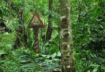 Locais: O Fim da Estrada