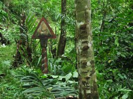 Locais: O Fim da Estrada