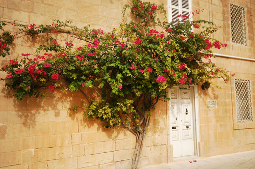 mdina-07