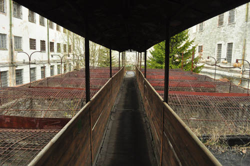 05Mai-06