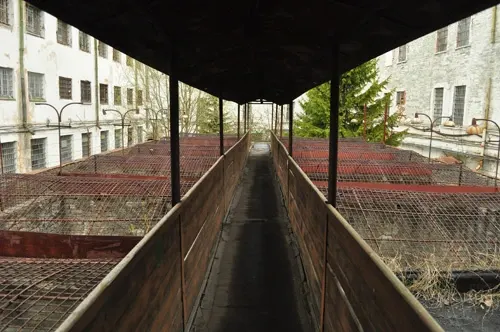 05Mai-06